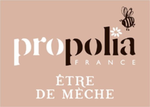 PROPOLIA FRANCE ÊTRE DE MÈCHE Logo (EUIPO, 05/22/2017)