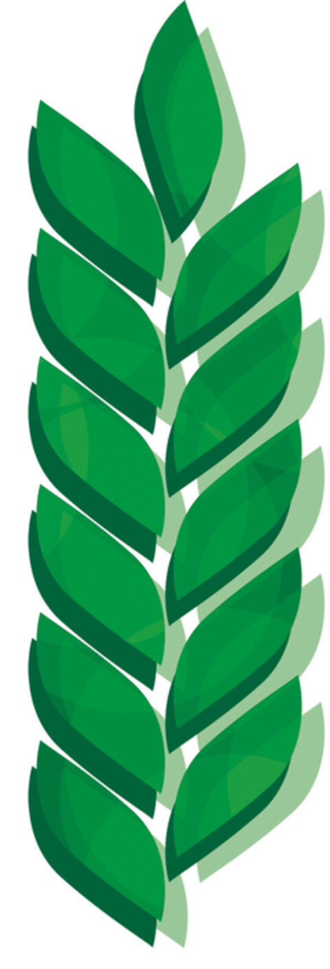  Logo (EUIPO, 06.08.2020)