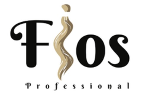 FIOS PROFESSIONAL Logo (EUIPO, 11/13/2017)