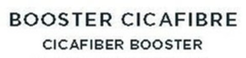 BOOSTER CICAFIBRE CICAFIBER BOOSTER Logo (EUIPO, 05.04.2019)