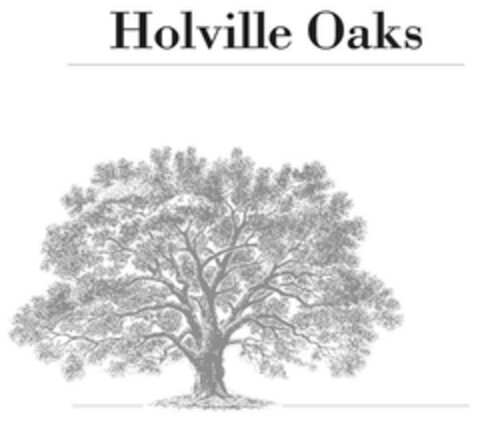 Holville Oaks Logo (EUIPO, 11.02.2022)
