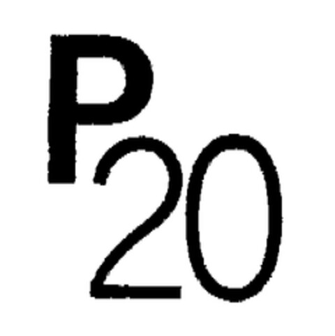 P20 Logo (EUIPO, 24.03.2003)