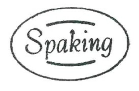 Spaking Logo (EUIPO, 14.05.2008)