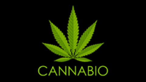CANNABIO Logo (EUIPO, 23.08.2018)