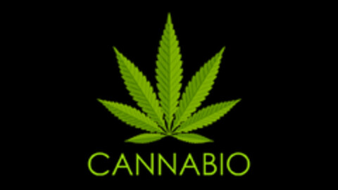 CANNABIO Logo (EUIPO, 08/23/2018)