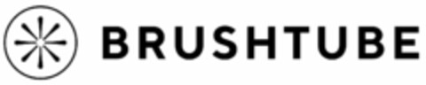 BRUSHTUBE Logo (EUIPO, 13.08.2019)