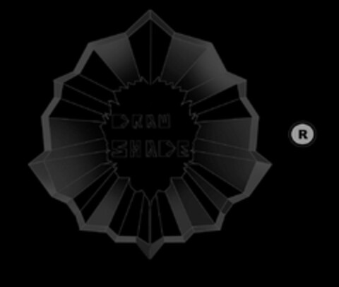 DRAW SHADE R Logo (EUIPO, 12.08.2022)