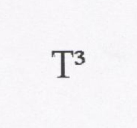 T3 Logo (EUIPO, 06.04.2006)