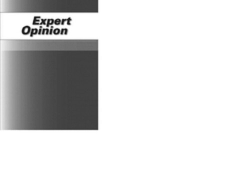 EXPERT OPINION Logo (EUIPO, 24.01.2012)