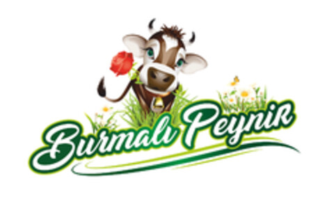 BURMALI PEYNIR Logo (EUIPO, 20.03.2017)