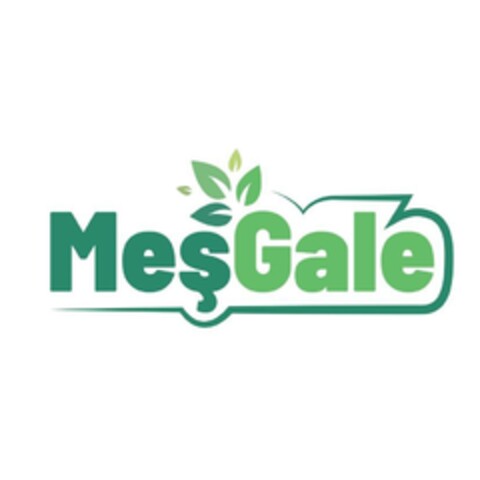 MESGALE Logo (EUIPO, 07/05/2022)