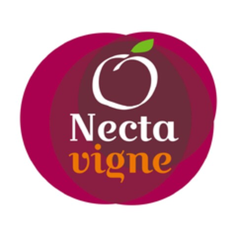 Necta vigne Logo (EUIPO, 24.04.2024)