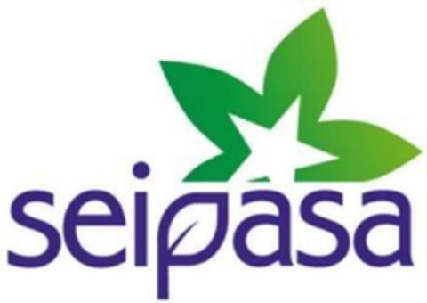 SEIPASA Logo (EUIPO, 07.06.2024)