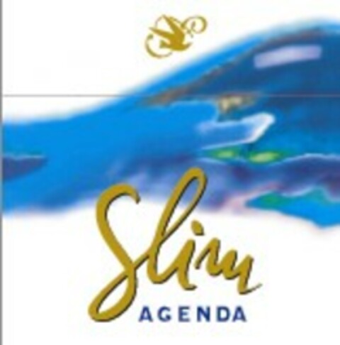 Slim AGENDA Logo (EUIPO, 09/30/2003)