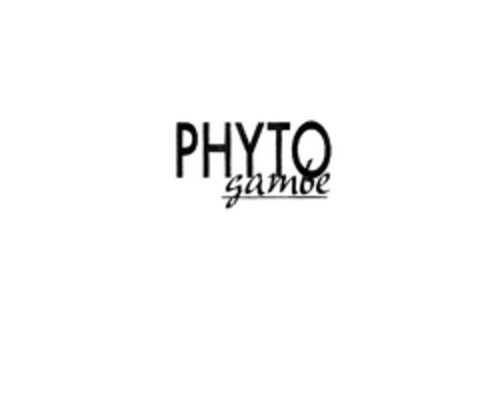 PHYTO gambe Logo (EUIPO, 07.07.2005)