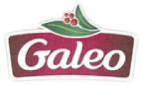 Galeo Logo (EUIPO, 08/23/2012)