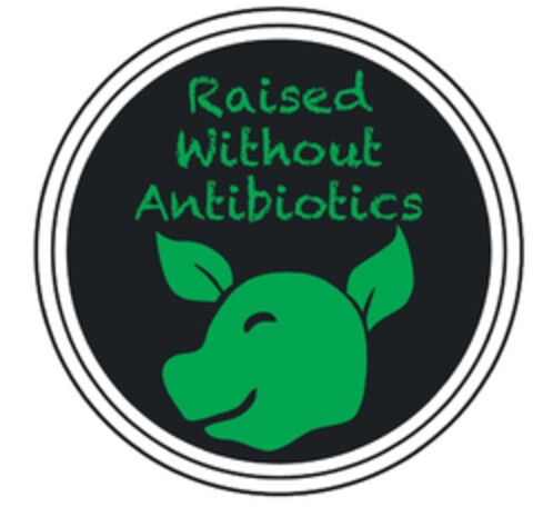 RAISED WITHOUT ANTIBIOTICS Logo (EUIPO, 31.10.2017)