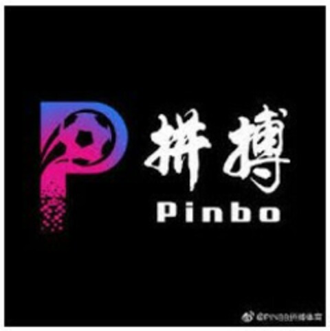 P Pinbo Logo (EUIPO, 18.03.2021)