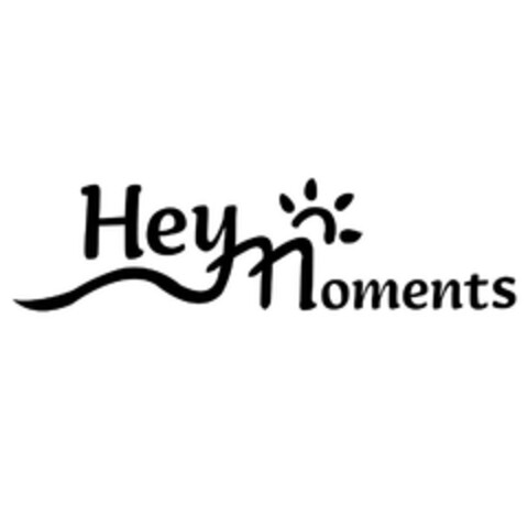 Heymoments Logo (EUIPO, 05/22/2023)