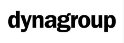 dynagroup Logo (EUIPO, 02/08/2007)