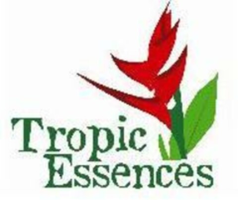 Tropic Essences Logo (EUIPO, 04.06.2008)