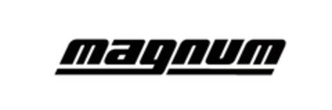 magnum Logo (EUIPO, 07/03/2008)