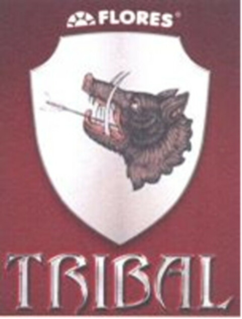 FLORES TRIBAL Logo (EUIPO, 12/25/2018)