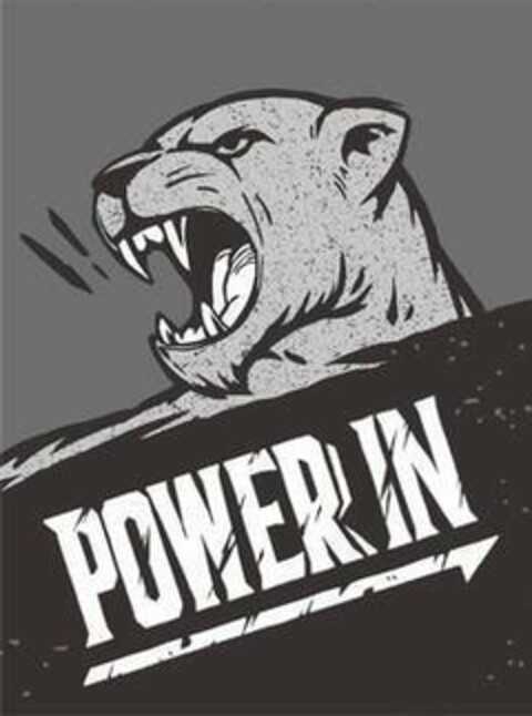 POWER IN Logo (EUIPO, 29.07.2021)