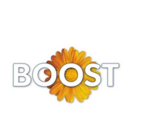 BOOST Logo (EUIPO, 08.12.2023)