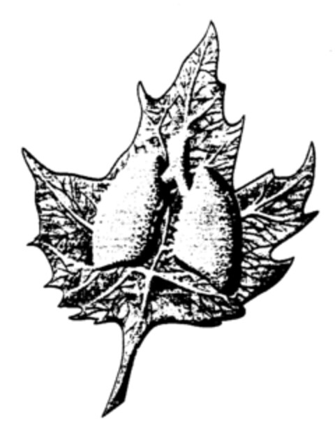  Logo (EUIPO, 18.03.1997)