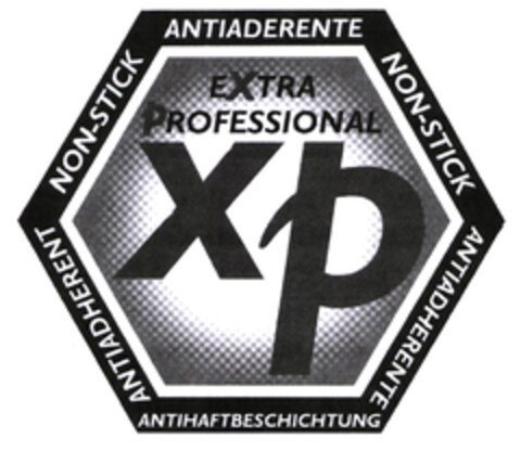 XP EXTRA PROFESSIONAL ANTIADERENTE NON-STICK ANTIADHERENTE ANTIHAFTBESCHICHTUNG ANTIADHERENT NON-STICK Logo (EUIPO, 19.12.2002)