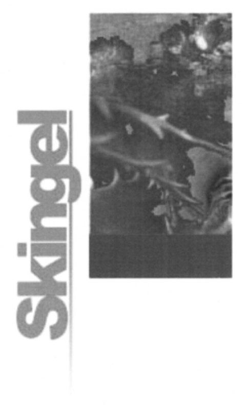 Skingel Logo (EUIPO, 27.05.2008)