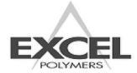 EXCEL POLYMERS Logo (EUIPO, 08/05/2009)