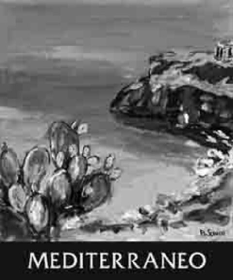 MEDITERRANEO Logo (EUIPO, 05.02.2010)