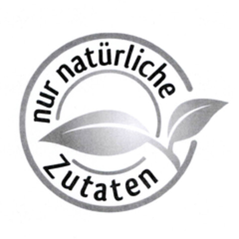 nur natürliche Zutaten Logo (EUIPO, 16.07.2012)