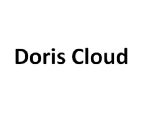 Doris Cloud Logo (EUIPO, 03/17/2021)