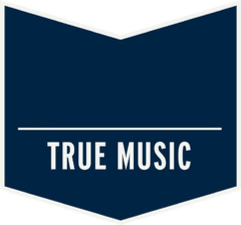 TRUE MUSIC Logo (EUIPO, 08/08/2022)