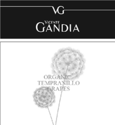 VG VICENTE GANDIA ORGANIC TEMPRANILLO GRAPES Logo (EUIPO, 05/10/2011)
