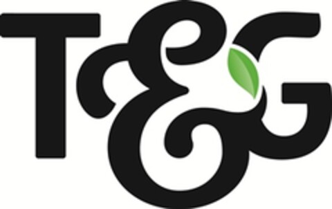 T&G Logo (EUIPO, 17.07.2015)