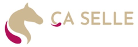 CASELLE Logo (EUIPO, 14.01.2022)