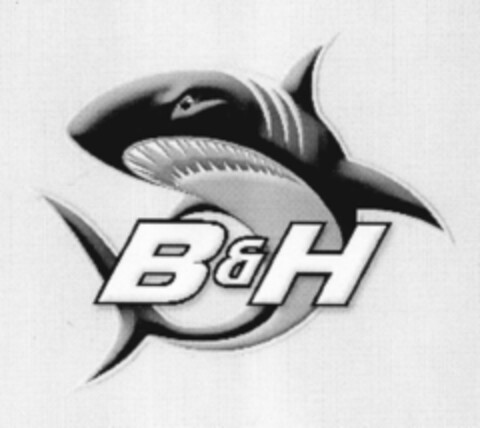 B&H Logo (EUIPO, 19.01.2001)