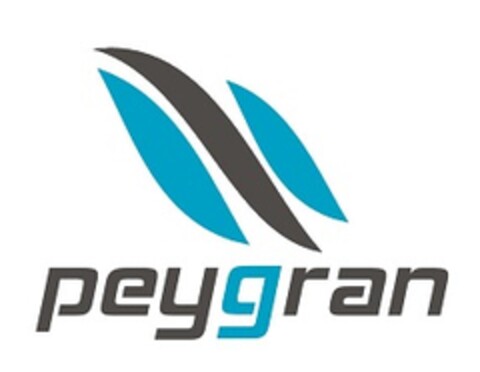 PEYGRAN Logo (EUIPO, 08.04.2014)
