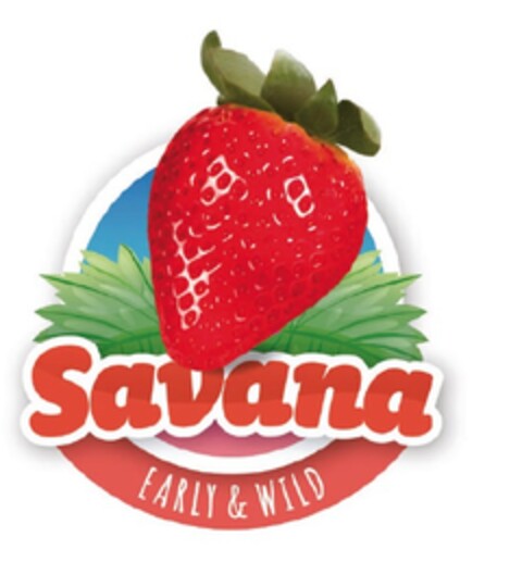 Savana EARLY & WILD Logo (EUIPO, 04.04.2018)
