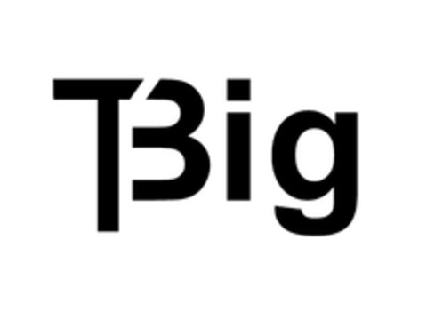 TBIG Logo (EUIPO, 20.05.2021)