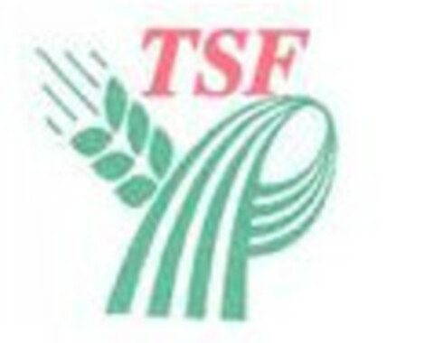 TSF Logo (EUIPO, 27.12.2021)