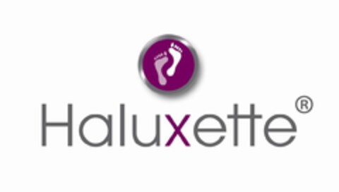 Haluxette Logo (EUIPO, 29.05.2013)