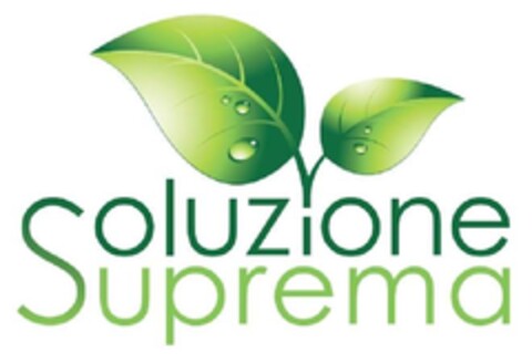 SOLUZIONE SUPREMA Logo (EUIPO, 12.07.2013)