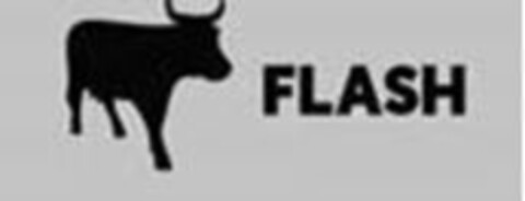 FLASH Logo (EUIPO, 29.03.2018)