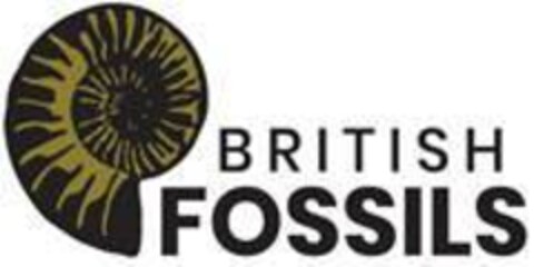 BRITISH FOSSILS Logo (EUIPO, 25.06.2018)