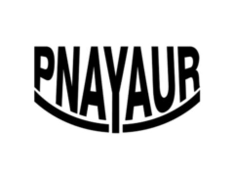 PNAYAUR Logo (EUIPO, 02/03/2021)